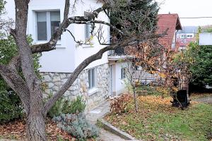 Twin Magnolias In Maksimir