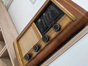 Twin Magnolias In Maksimir