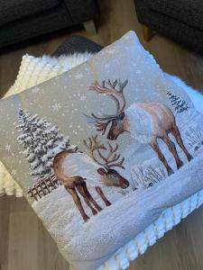 PUNAHILKKA & Susihukka Apartments with sauna