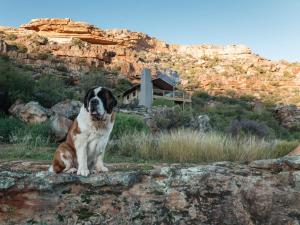 AfriCamps at de Pakhuys, Cederberg