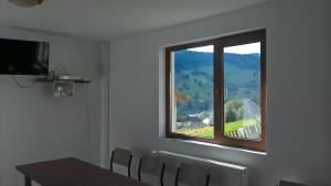 Vila Bucovina