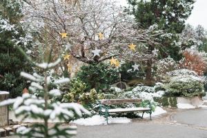 Garten-Hotel Ochensberger