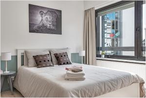 Studios hyper centre, proche cathédrale et gare