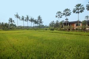 2 Bedrooms Private Pool Villa Tegalalang-Ubud