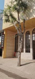 HOTEL SARACA INN, Indore