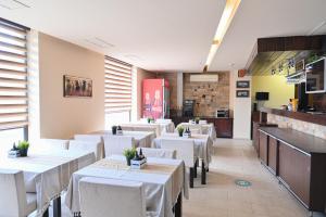 Хотел Елица