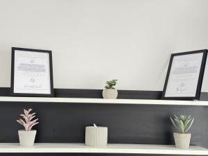 Premium Palas Mall Apartments - City Center iasi