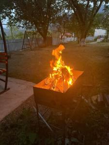 cottage in tsemi (Borjomi)