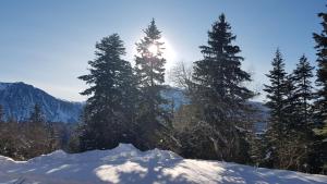 V du Bachat Arolles A03 - Appt 4 pers