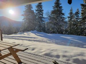 V du Bachat Arolles A03 - Appt 4 pers