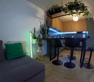 Apartament Rutkiewicz