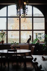 Buteo chambres dhôtes & espresso