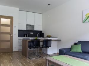 Apartmán Špindlerův Mlýn