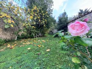 La Maison de la Glycine