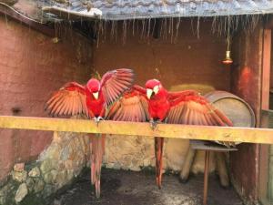 Silver Mist Resort, Haenertsburg