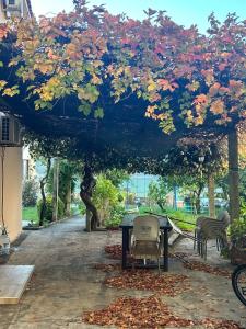 Apartment with one bedroom