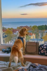 Pokoje przy plaży z widokiem na morze