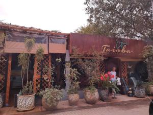 Praia , Camburi, sertão do cacau, são Sebastião