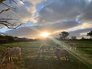 Jeju Bongsung Noeul Dam