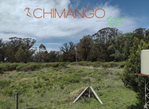 Chimango