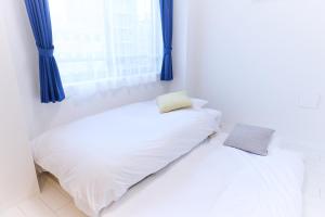 Zenith Nishinakanobu