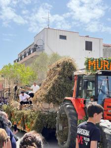 La Pavoncella Holiday Home img63