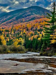 Mattawamkeag River Cottage