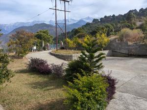 Dhauladhar View Village Resort