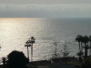 Campoamor Centro 1411B