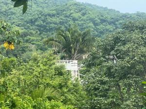 El Mirador y el Nido