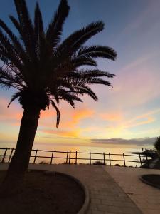 MNG-Apart Mareverde Costa Adeje- Las Americas