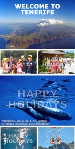 MNG-Apart Mareverde Costa Adeje- Las Americas