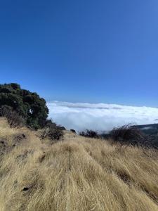 MNG-APART Studio D-14 Mareverde Costa Adeje