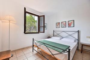 Cotoncello in una posizione panoramica - Goelba