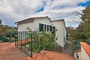 Cotoncello in una posizione panoramica - Goelba