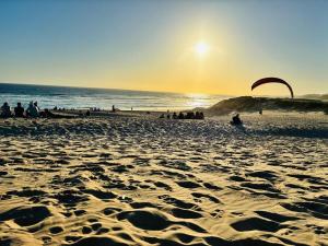 Little Oasis - Palm Room