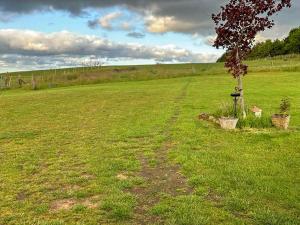 Woodpecker Hollow - Uk45980