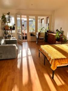 1 Zimmer mit Aussicht und 1 Zimmer mit Balkon in 4 Zimmer Wohnung, Szene, Parks und Top Lage