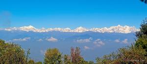 Everest Home Stay Apartment