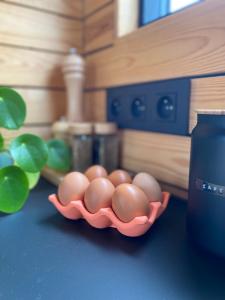 Tinyhouse au coeur dun vignoble