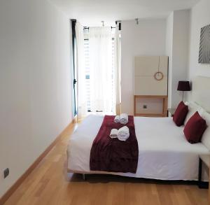 Cituspace Las Tablas Camino Santiago