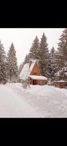 Ski Lake Cottage Krpáčovo