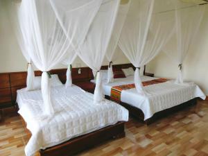 Mai Hill Homestay Pù Luông