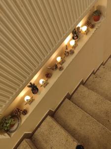 Marijonų Arfos Aidas