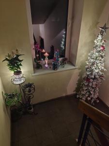 Marijonų Arfos Aidas