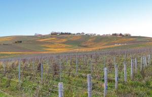 Charmante Maison À La Campagne