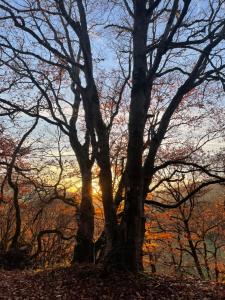 BelEtage Eifel