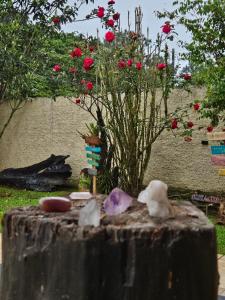 Cabana e Hospedaria La Casita Recanto dos Pássaros