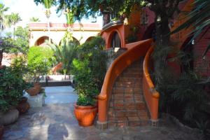 Collection O Casa Bella Hotel Boutique, Cabo San Lucas