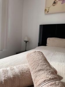 Baobab - Villa - Jardin